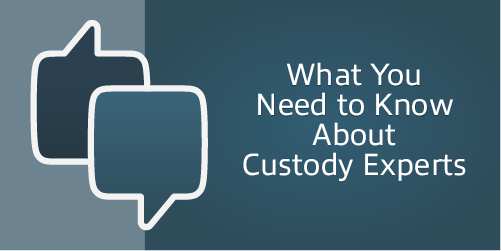 What You Need to Know About Custody Experts – Men’s