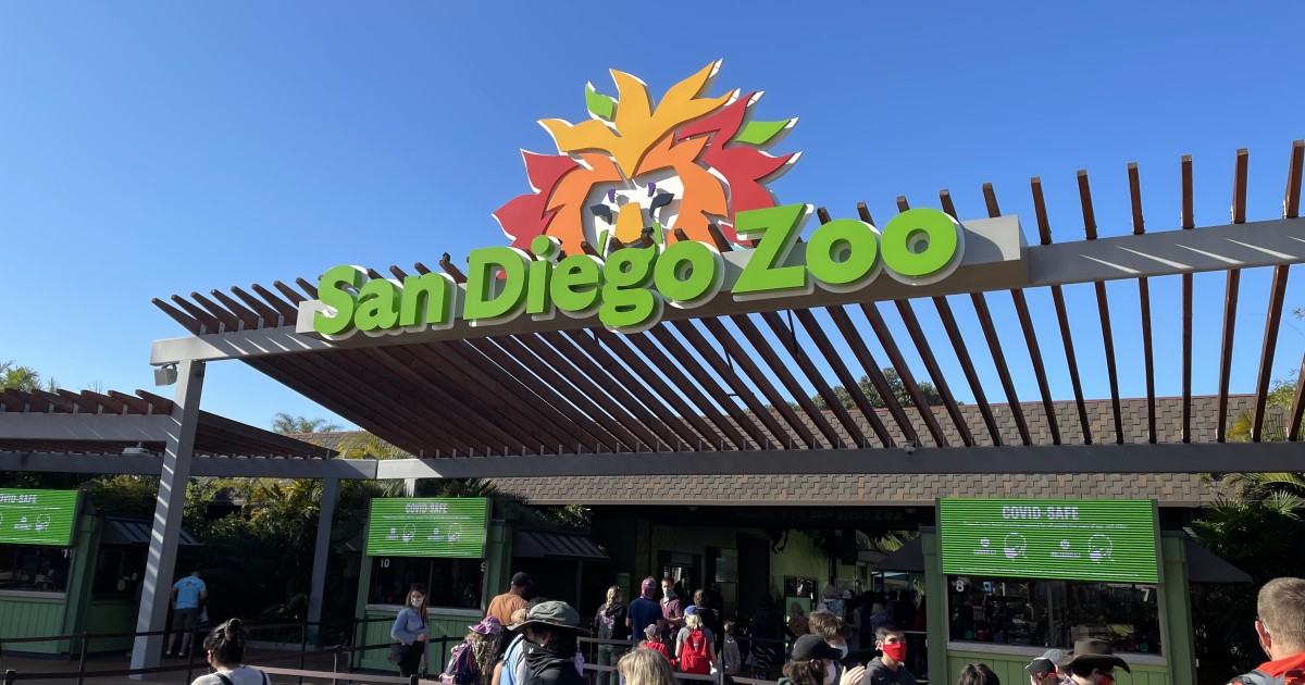 Man in custody after taking 2-year-old into San Diego Zoo