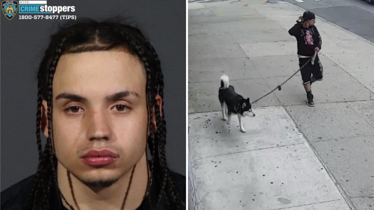 Suspected Brooklyn child predator using dogs to lure kids in