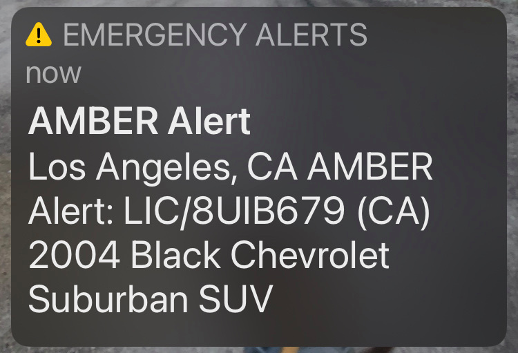 Amber Alert: South L.A. 8-year-old found safe, woman in custody