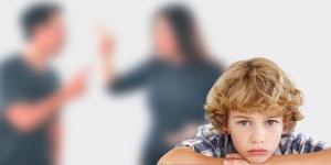 Florida Custody Law, and The Child’s Best Interest